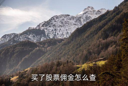 为什么股票账户看不到佣金，买了股票佣金怎么查