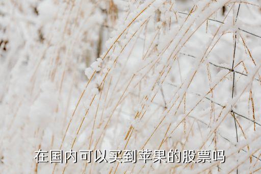 在国内可以买到苹果的股票吗