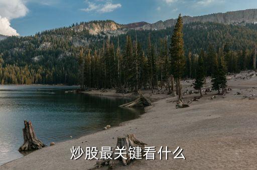 炒股最关键看什么