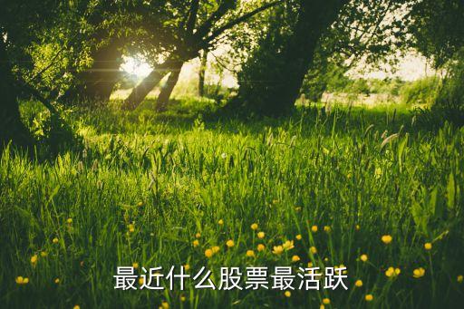 最近什么股票最活跃