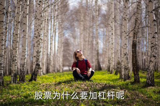 股票还可以加杠杆吗为什么，现在炒股还可以加杠杆吗