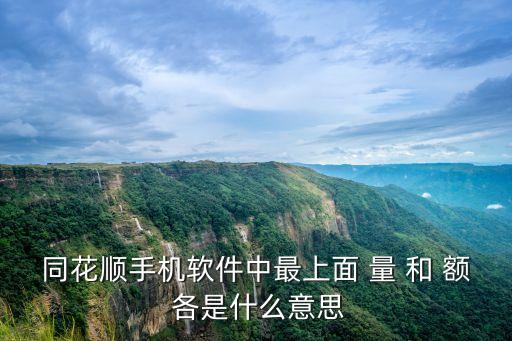 同花顺手机软件中最上面 量 和 额 各是什么意思