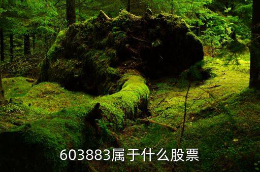 603883属于什么股票
