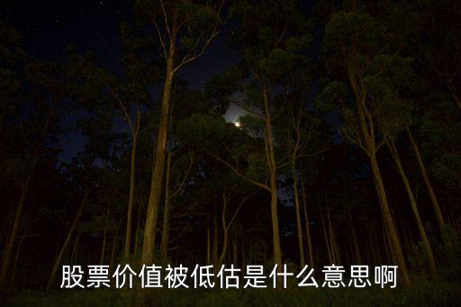 股票价值被低估是什么意思啊
