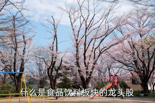 食品龙头是什么股票一览，食品饮料有哪些龙头股股