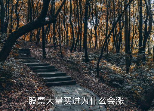 股票大量买进为什么会涨