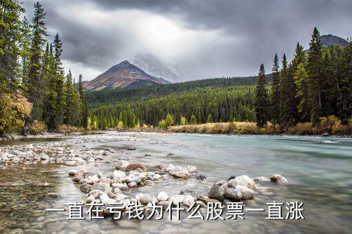 一直在亏钱为什么股票一直涨