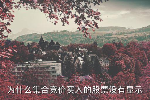 为什么集合竞价买入的股票没有显示