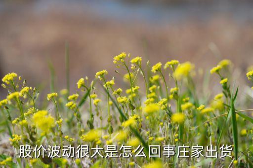 股价波动很大是怎么回事庄家出货