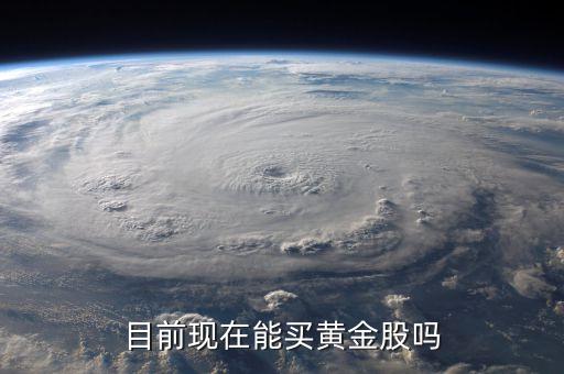 炒股什么时候能买黄金股票，目前现在能买黄金股吗