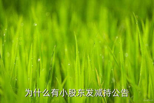 为什么有小股东发减持公告