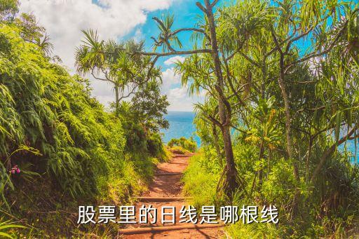 股票里的日线是哪根线