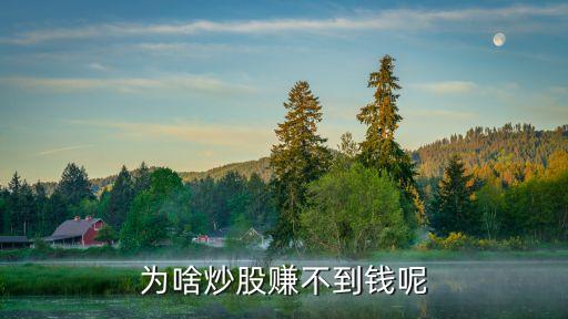 玩股票为什么赚不了钱了，为啥炒股赚不到钱呢
