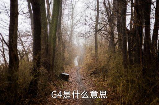 股票风险评估g4是什么，G4是什么意思