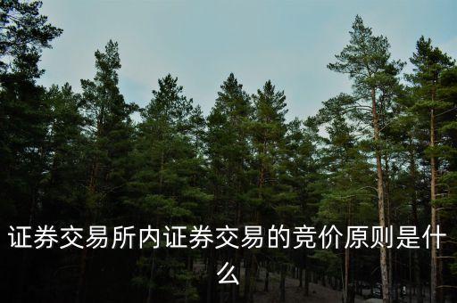 证券交易所内证券交易的竞价原则是什么