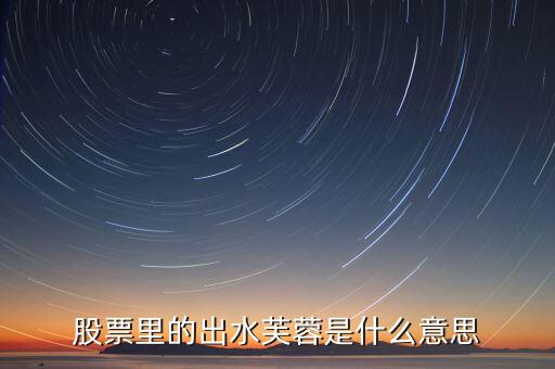 股票中的比翼双飞是什么，股市里的护城河是什么意思