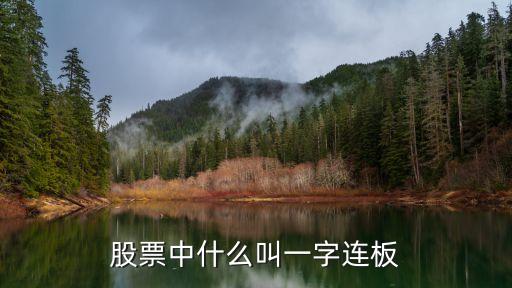 股票中什么叫一字连板