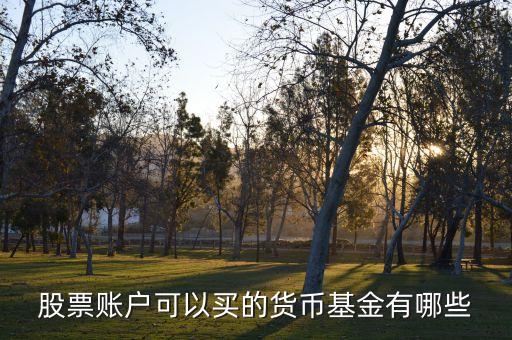 股票账户可以买的货币基金有哪些