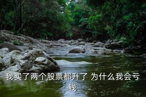 我买了两个股票都升了 为什么我会亏钱