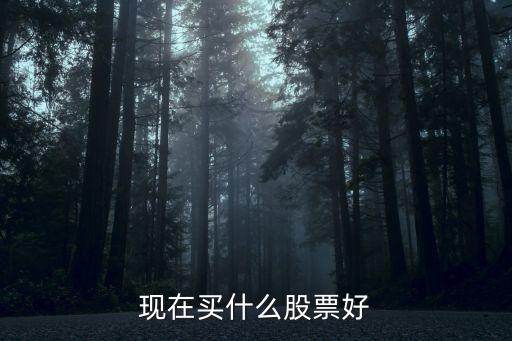现在买什么股票好