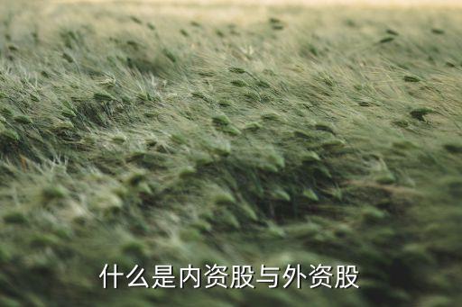 外资概念股又称为什么股票，什么是外资股什么是B股