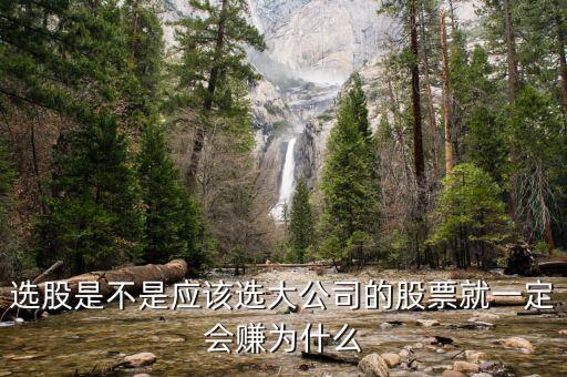 选股是不是应该选大公司的股票就一定会赚为什么