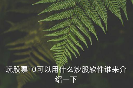 玩股票T0可以用什么炒股软件谁来介绍一下