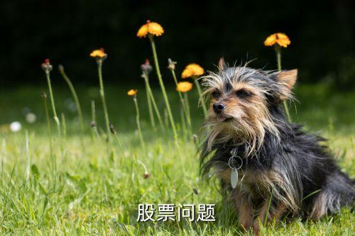 股票问题