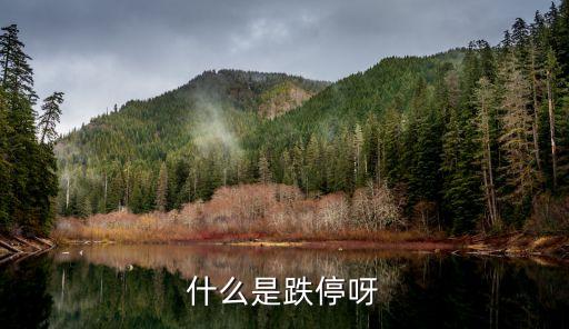 什么是跌停呀