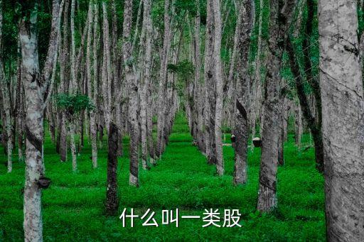 什么叫一类股