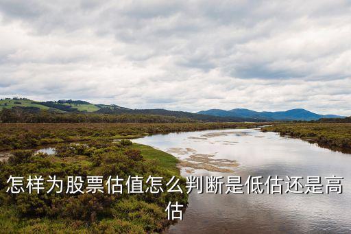 什么样的股票有估值分析，哪些股票具有高成长性目前还低估值的