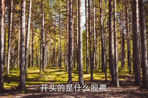 开头的是什么股票