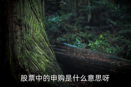 股票中的申购是什么意思呀