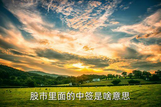 炒股票中签是什么意思，股票中签是什么意思