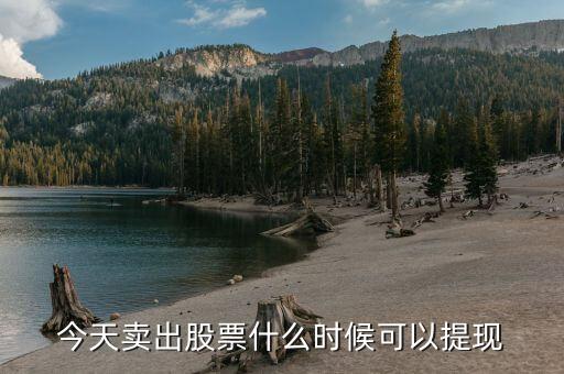 股票卖了钱什么时候能提现，卖股票多久可以提现