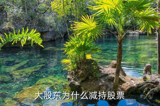 大股东为什么减持股票