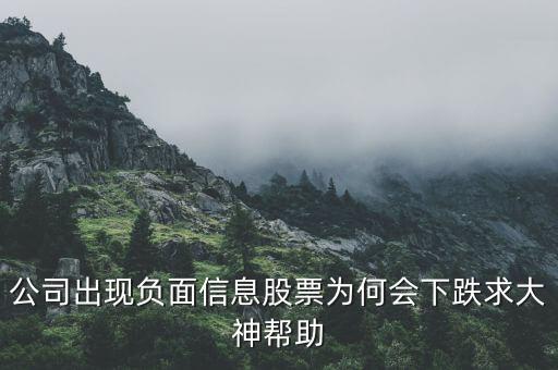 公司出现负面信息股票为何会下跌求大神帮助