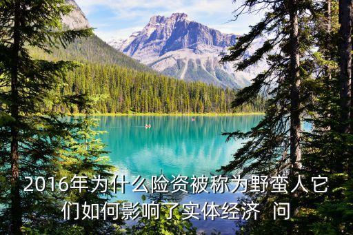2016年为什么险资被称为野蛮人它们如何影响了实体经济  问