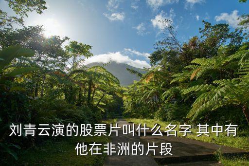 刘青云演的股票片叫什么名字 其中有他在非洲的片段