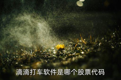 滴滴出行的股票是什么股，滴滴有马云的股份吗