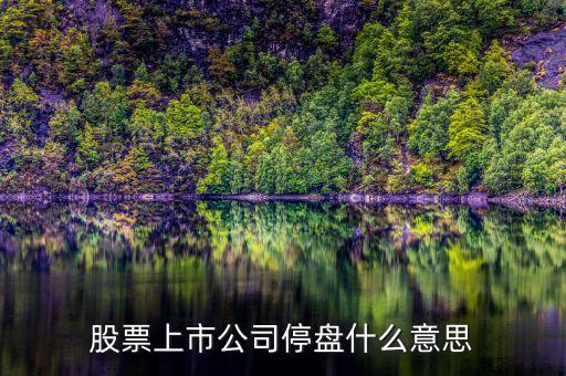股票上市公司停盘什么意思
