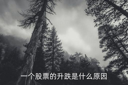 一个股票的升跌是什么原因