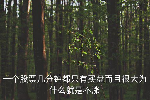 一个股票几分钟都只有买盘而且很大为什么就是不涨