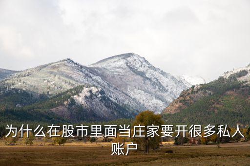 为什么在股市里面当庄家要开很多私人账户