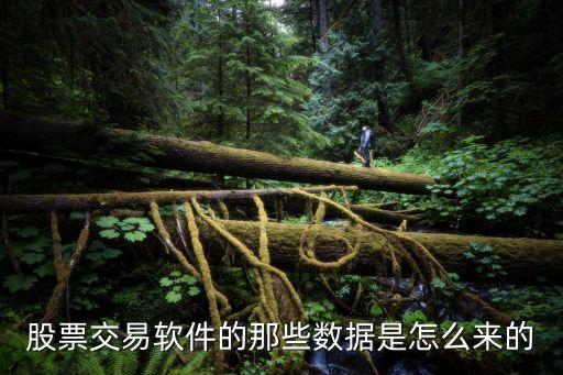 股票交易软件的那些数据是怎么来的