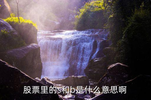 股票里的s和b是什么意思啊