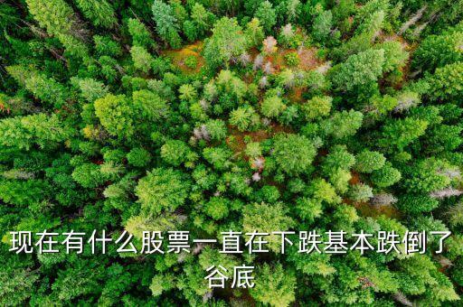 现在有什么股票一直在下跌基本跌倒了谷底
