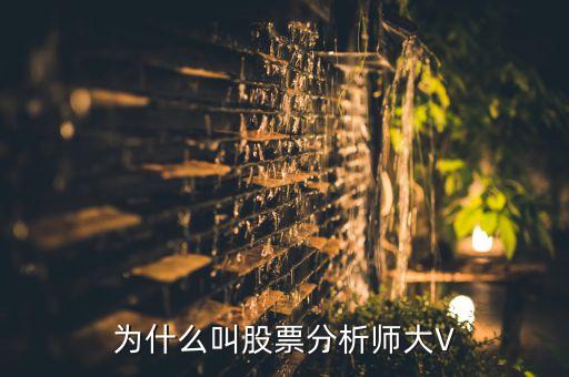 为什么叫股票分析师大V