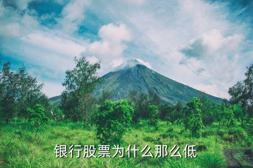 银行股票为什么那么低