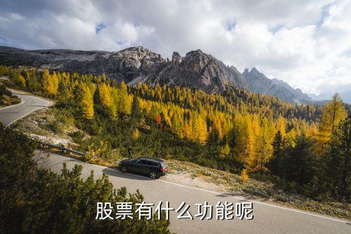 股票有什么功能呢